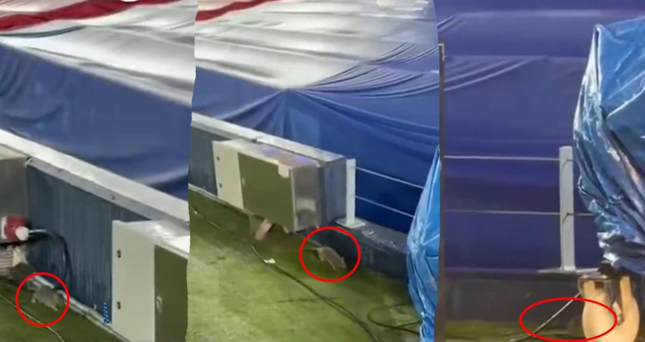 Barcelona'nın Stadyum Sorunları Devam Ediyor: Maç Öncesi Fareler Ortaya Çıktı