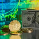 Bitcoin ETF'lerinde Tarihi Çıkış: Bir Günde 700 Milyon Dolar Aktarıldı