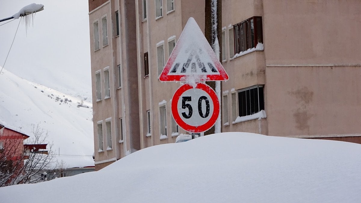 Bitlis'te Yoğun Kar Yağışı 294 Köy Yolunu Kapattı