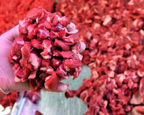 Dana eti fiyatı Türkiye'de 20 doları aştı, geçim krizi derinleşiyor