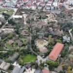 Darıca Hayvanat Bahçesi 2026'da kapandı, hayvanlar başka tesislere nakledildi