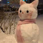 Diyarbakır'da Kardan Adam Yarışması İlgiyle Gerçekleştirildi