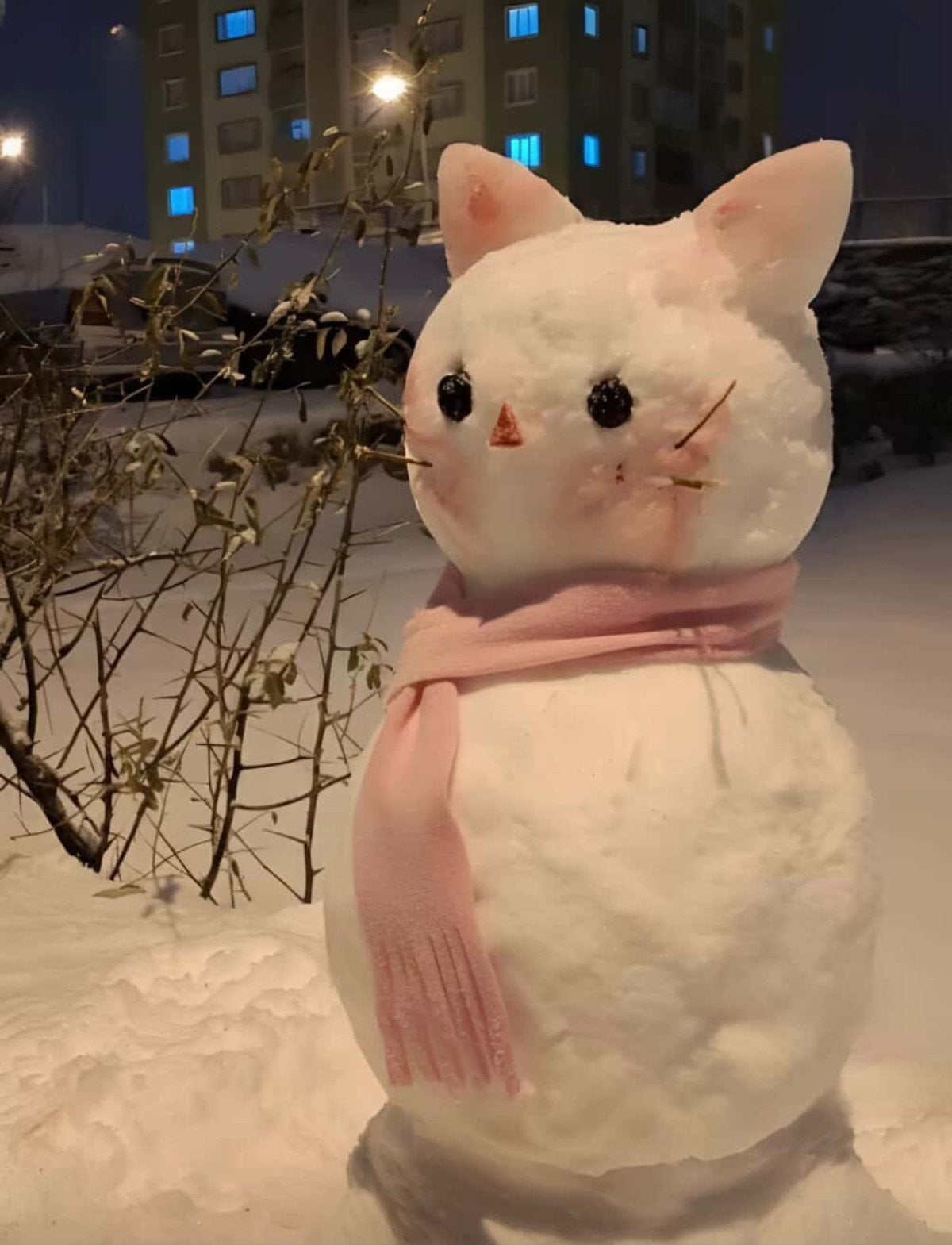 Diyarbakır'da Kardan Adam Yarışması İlgiyle Gerçekleştirildi