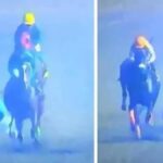 Filipinler'deki At Yarışında Jokey Elvin Abrea Hayatını Kaybetti