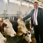 Hayvancılıkta İthalat Sorunları Devam Ediyor, Yerli Üretim İçin Acil Önlemler Alınmalı