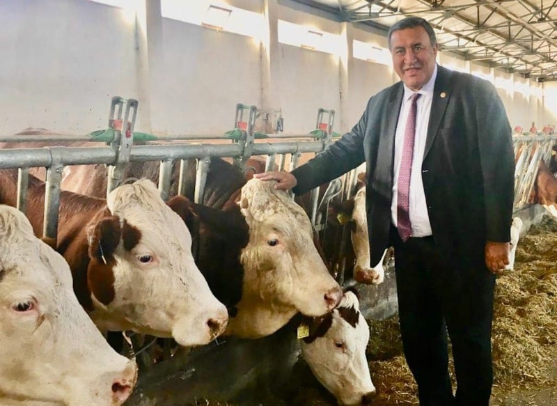 Hayvancılıkta İthalat Sorunları Devam Ediyor, Yerli Üretim İçin Acil Önlemler Alınmalı