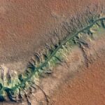 İklim Değişikliği: Planktonların Kontrolsüz Çoğalması Dünya'nın Donmasına Neden Olabilir