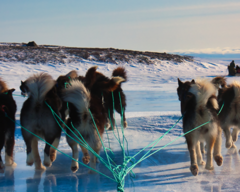 İnuit Gelenekleriyle Hayatta Kalan Grönland Köyü Küresel Isınmaya Direniyor