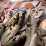 İstanbul'da 2026 Kış Sezonunda Balık Fiyatlarında Büyük Hareketlilik