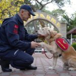 JAK Köpeği Ocak, 8 Yılda 48 Can Kurtardı