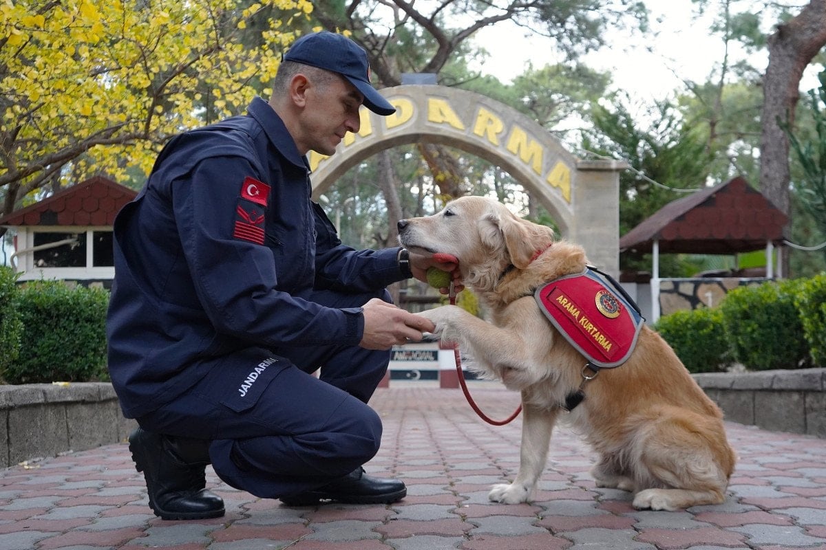 JAK Köpeği Ocak, 8 Yılda 48 Can Kurtardı