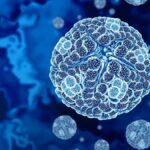 Japonya'da Keşfedilen Yeni Virüs Evrimsel Biyoloji Tartışmalarını Güncelliyor