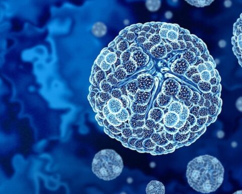 Japonya'da Keşfedilen Yeni Virüs Evrimsel Biyoloji Tartışmalarını Güncelliyor