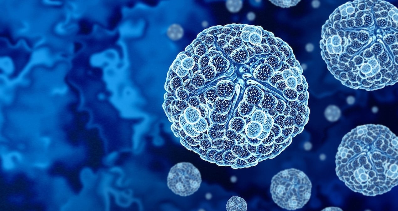 Japonya'da Keşfedilen Yeni Virüs Evrimsel Biyoloji Tartışmalarını Güncelliyor