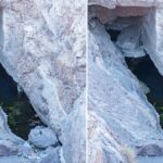 Nevada'daki Şeytan Deliği'nde 10 bin yıllık yalnızlık süren Yavru Balığı türü