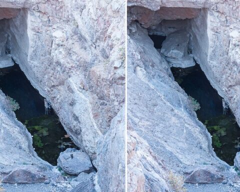 Nevada'daki Şeytan Deliği'nde 10 bin yıllık yalnızlık süren Yavru Balığı türü