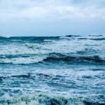 Okyanusların Renk Değişimi, Deniz Ekosistemine Olumsuz Etkiler Yapıyor