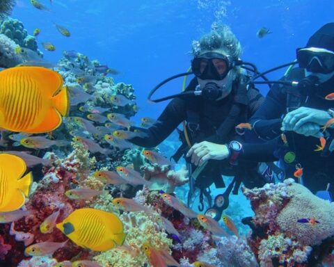 Okyanusların Rolü: Mercan Resifleri Gıda Güvensizliğiyle Mücadelede Stratejik Öneme Sahip