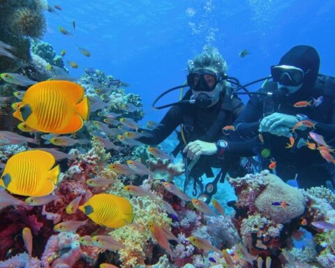Türkiye, Dalış Turizminde Dünyanın En İyileri Arasında Yer Aldı