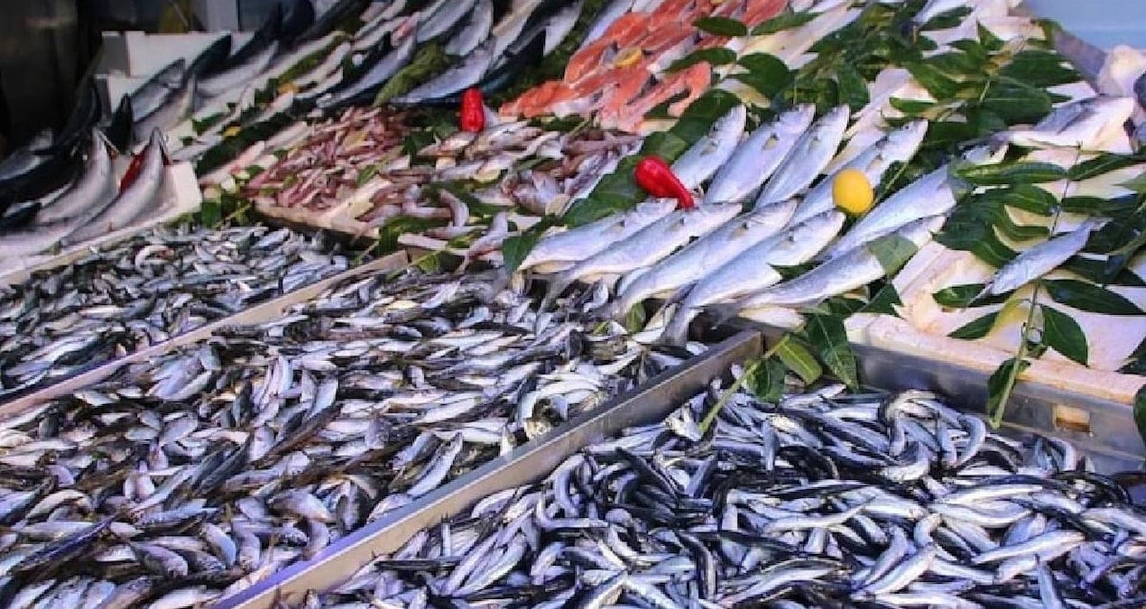 Türkiye, Üç Tarafı Denizlerle Çevrili Olmasına Rağmen Balık Tüketiminde Geride Kalıyor