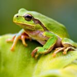 Yapay zeka raporundaki hata, polis teşkilatını zor durumda bıraktı