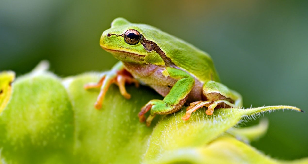 Yapay zeka raporundaki hata, polis teşkilatını zor durumda bıraktı