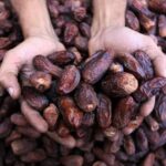 2026 hurma fiyatları: Medine, Kudüs ve İran hurması kilogram fiyatları belirlendi