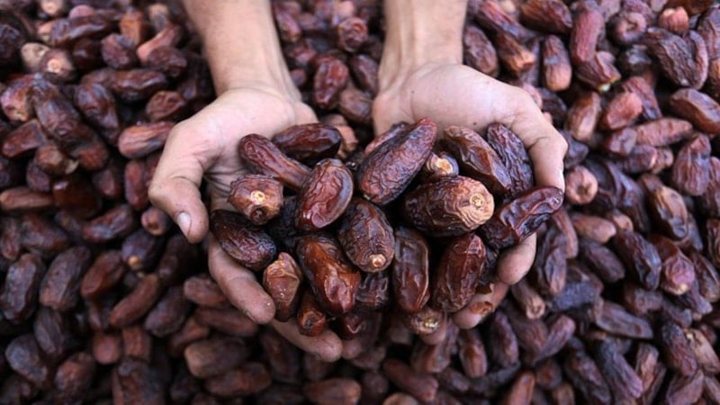 2026 hurma fiyatları: Medine, Kudüs ve İran hurması kilogram fiyatları belirlendi