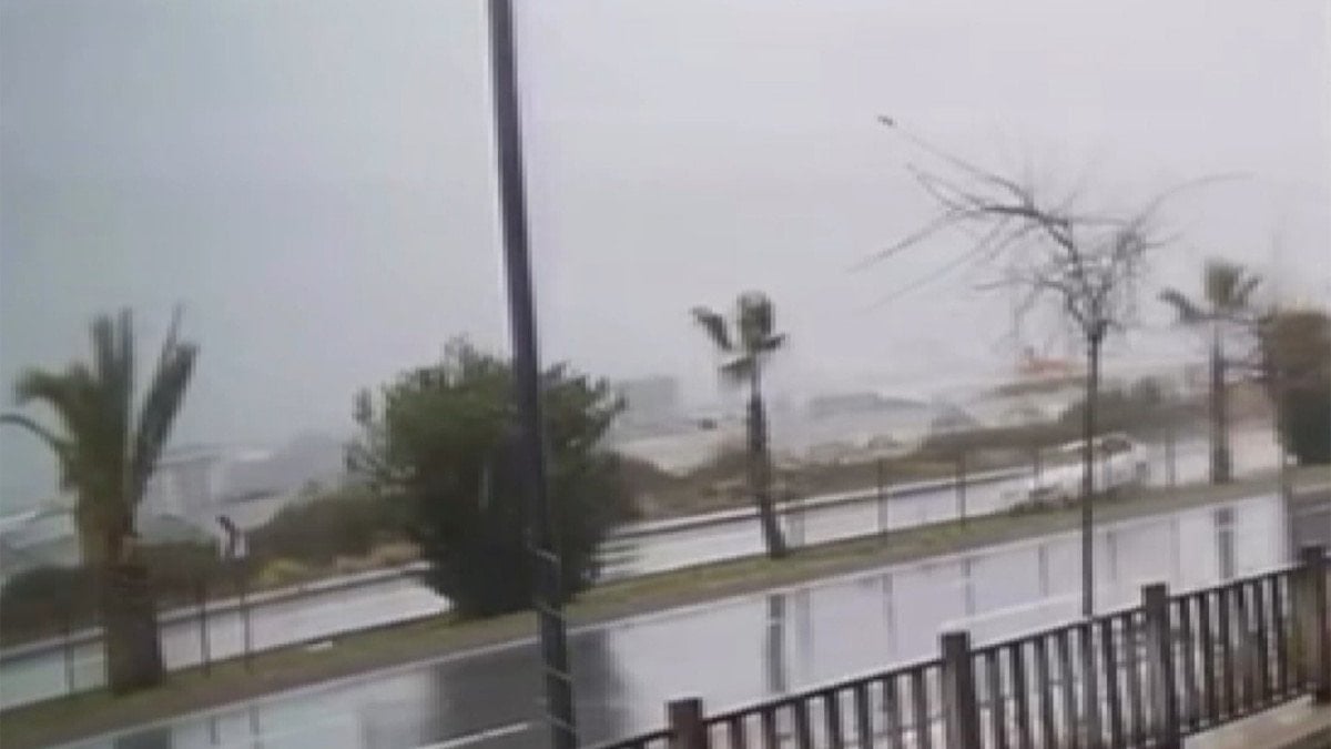 Alanya'da otomobil ağaca çarpıp devrildi, sürücü yaralandı