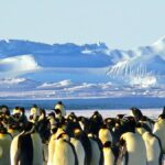 Antarktika'da Yıl İçinde 1 Milyon 739 Bin TL'ye Teknik Personel Aranıyor