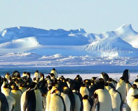 Antarktika'da Yıl İçinde 1 Milyon 739 Bin TL'ye Teknik Personel Aranıyor