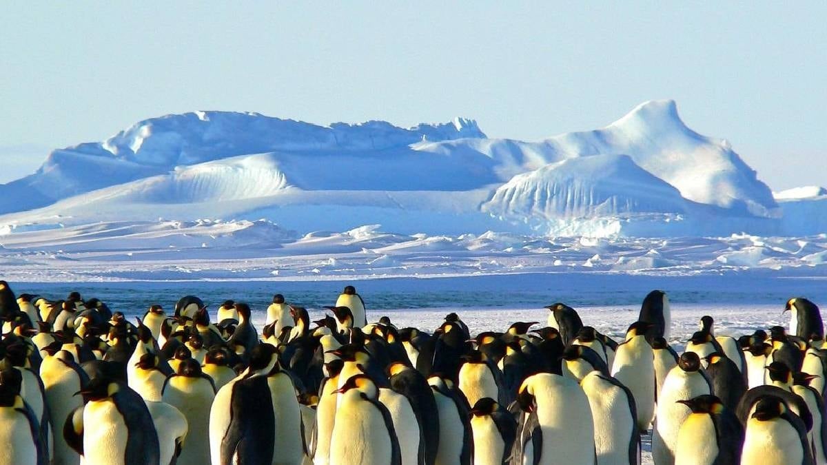 Antarktika'da Yıl İçinde 1 Milyon 739 Bin TL'ye Teknik Personel Aranıyor