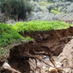 Aydın'da Taşkın Zeytinliklere Zarar Verdi, Yeni Su Kanalı Oluştu