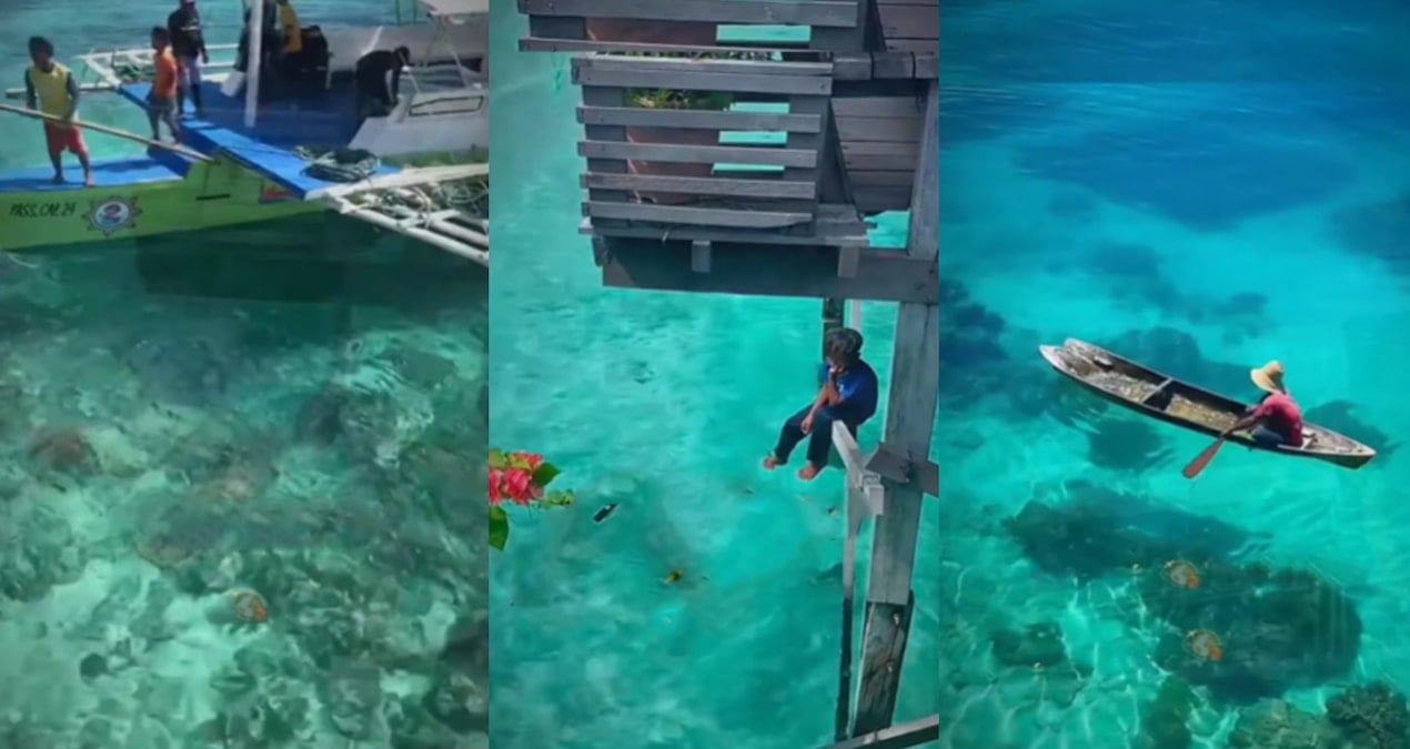 Bajau halkı: Sınırsız deniz yaşamının öznesi