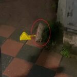 Bursa'da Arkadaşını Fırça Sapıyla Yaralayan İki Kişi Tutuklandı