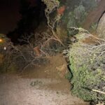 Bursa'da Yağışlar Nedeniyle Toprak Kayması: Mudanya-Kurşunlu Yolu Kapatıldı