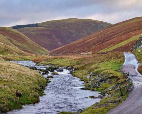College Valley'e Girişte Sıkı Kontrol: Günde Sadece 12 Araç Kabul Ediliyor