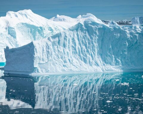 Demir gübreleme teorisi testi sonuçları, deniz seviyesi artışında etkisinin beklenenden düşük olduğunu gösteriyor