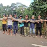 Dev piton, avında insanlara tehdit oluşturabilecek kapasiteye sahip