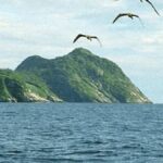 Dünyanın En Tehlikeli Adası: Efsaneler ve Ölümlerle Dolu Queimada Grande