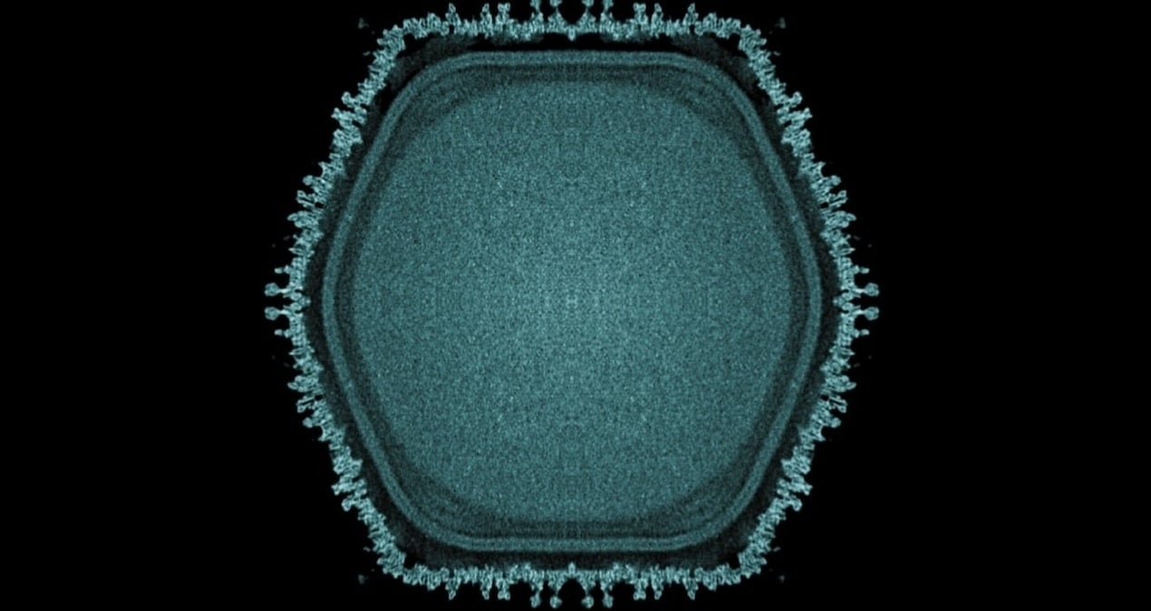 Gizli Dev Virüs Bulundu: Evrimsel Süreçte Yeni İpuçları Ortaya Çıkıyor