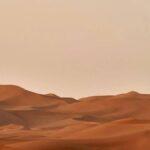 Gizli Tüneller: Çöl Kayalarında Keşfedilen Mikrobiyal Yapılar