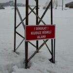 Hakkari'de kuduz vakası nedeniyle bölge karantinaya alındı