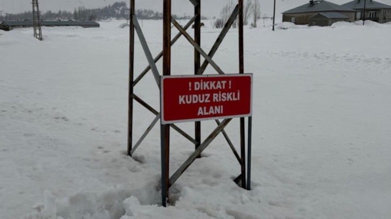 Hakkari'de kuduz vakası nedeniyle bölge karantinaya alındı