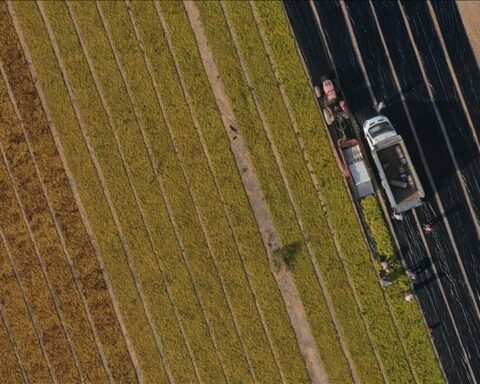 Hazine destekli tarımsal kredi düzenlemeleri ve başvuru şartları belirlendi