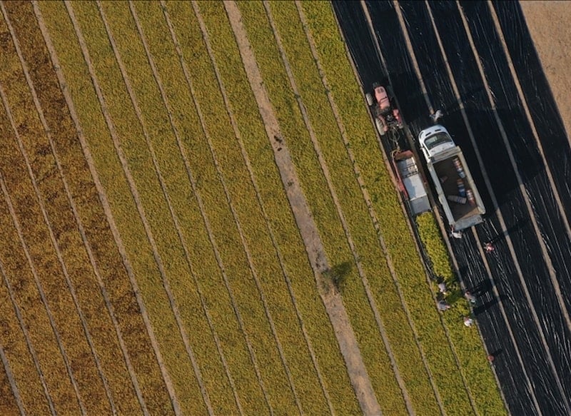 Hazine destekli tarımsal kredi düzenlemeleri ve başvuru şartları belirlendi