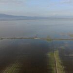 Kahramanmaraş’ta Yoğun Yağışlar Tarım Arazilerini Su Altında Bıraktı