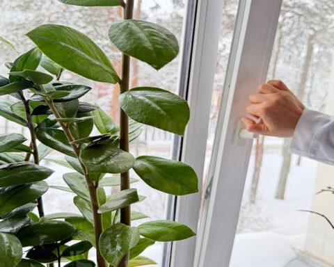 Kışın Sağlığınızı Korumak İçin Pencerelerinizi Açmayı İhmal Etmeyin