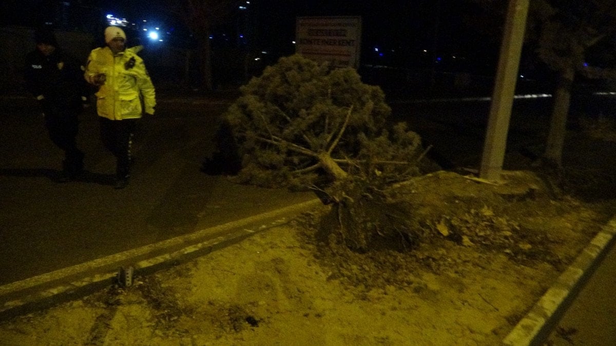 Malatya'da Şiddetli Fırtına Ağaçları Kökünden Söküp Çatıları Uçurdu