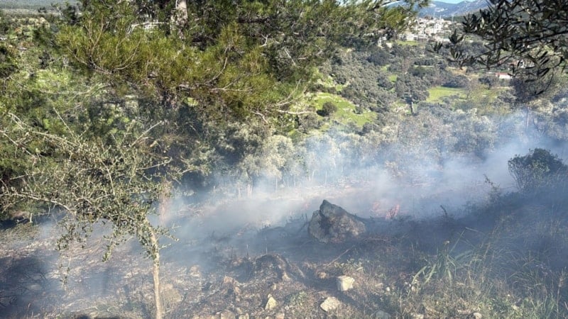 Muğla'da temizlik ateşi kontrolden çıkarak yangın çıkmasına neden oldu